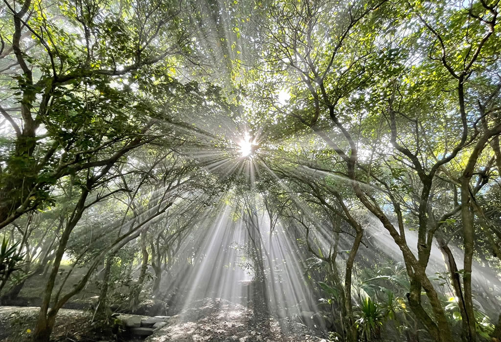 El Sol Monteverde